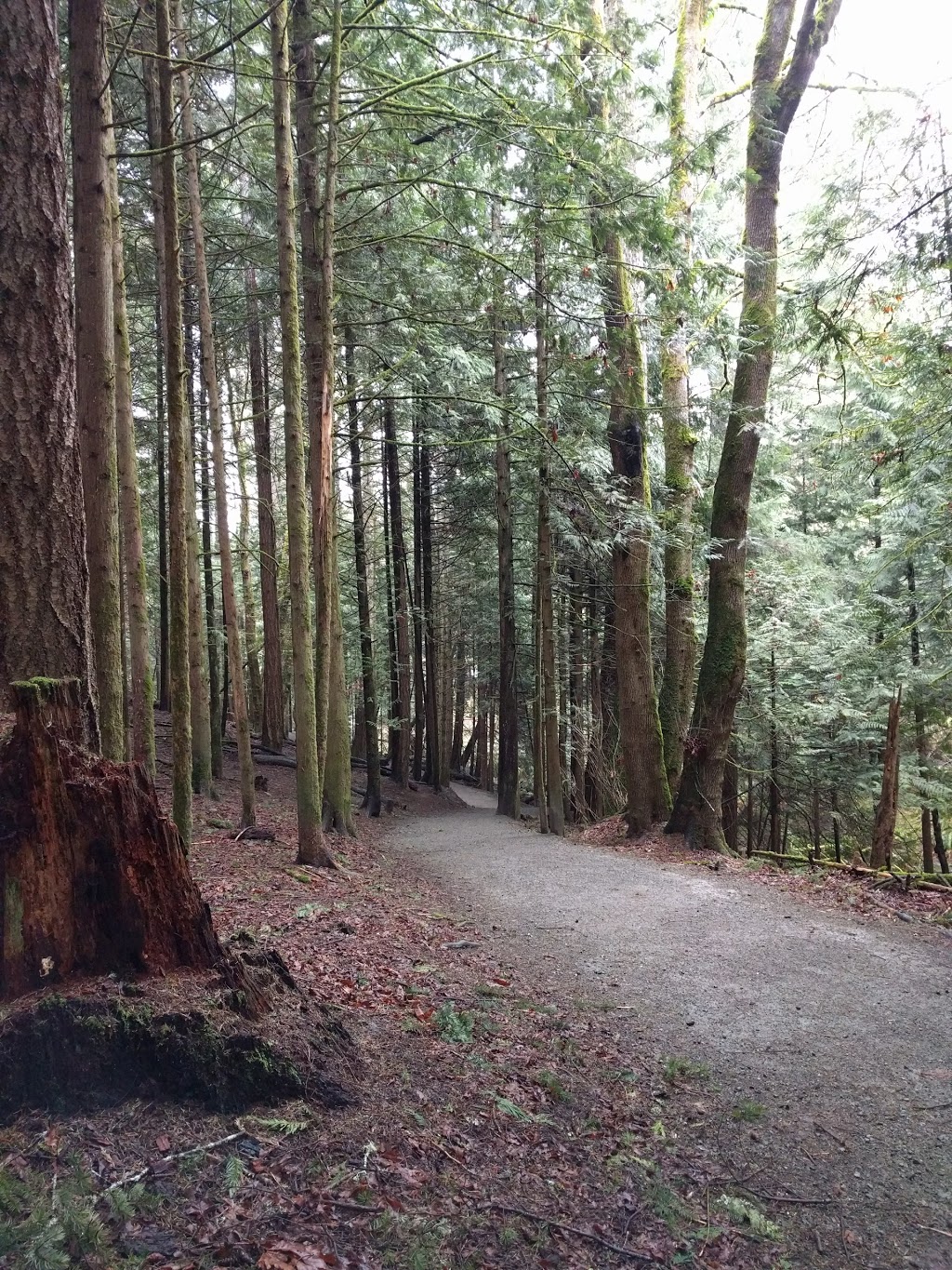Latoria Creek Park | Colwood, BC V9C, Canada