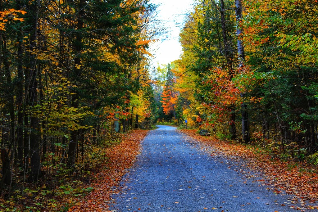 Balsam Lake Provincial Park | 2238 Kawartha Lakes County Rd 48, Kirkfield, ON K0M 2B0, Canada | Phone: (705) 454-3324