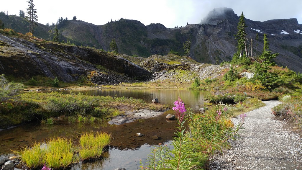 Mount Baker Visitor Center | 7509 Mt Baker Hwy, Maple Falls, WA 98266, USA | Phone: (360) 599-1518