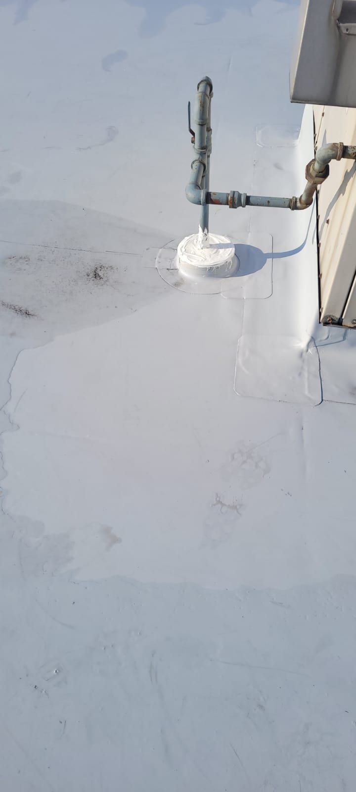 Cts Roofing | 2562 200 Street, Street, Langley Twp, BC V2Z 1X1, Canada | Phone: (778) 987-0949