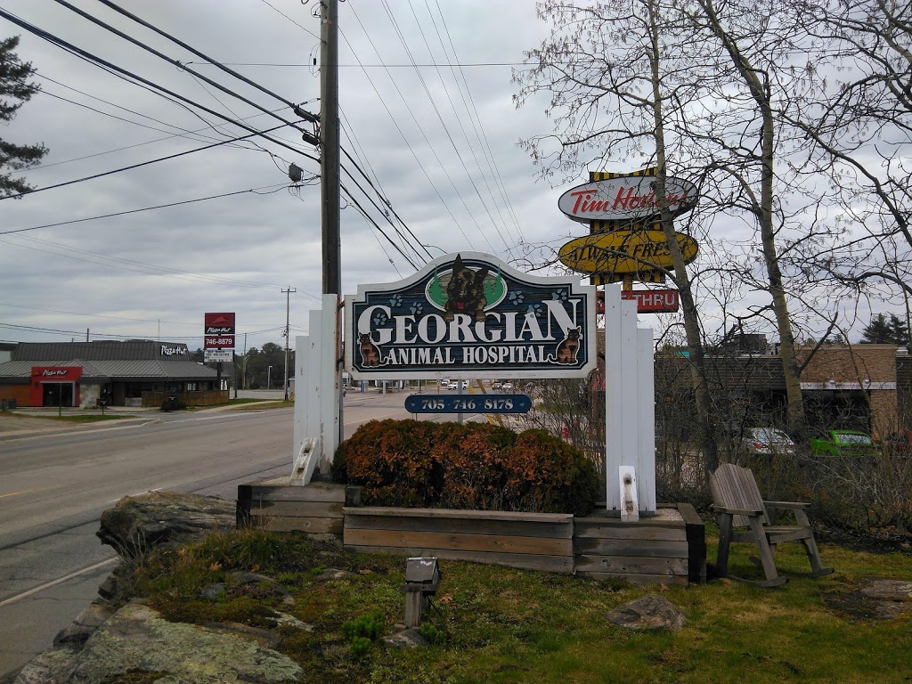 Georgian Animal Hospital | 109 Bowes St, Parry Sound, ON P2A 2L8, Canada | Phone: (705) 746-8178