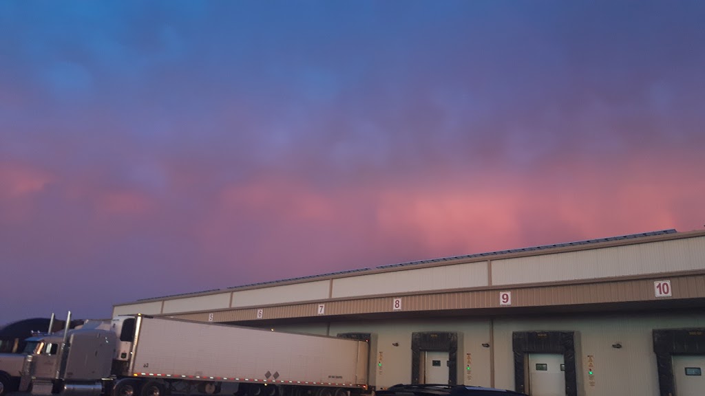 Topline Farms | 500 County Rd 18, Leamington, ON N8H 3V5, Canada | Phone: (519) 322-2351