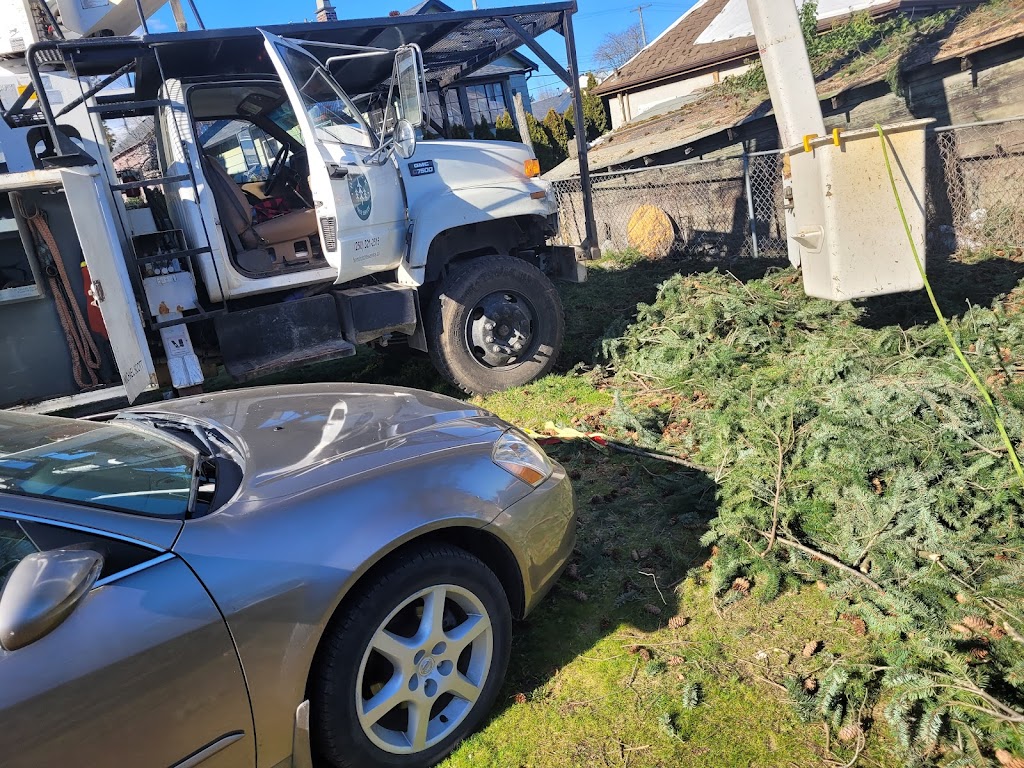 Hemlock Tree Service | 2919 Hemlock Dr, Nanoose Bay, BC V9P 9G2, Canada | Phone: (250) 321-2515