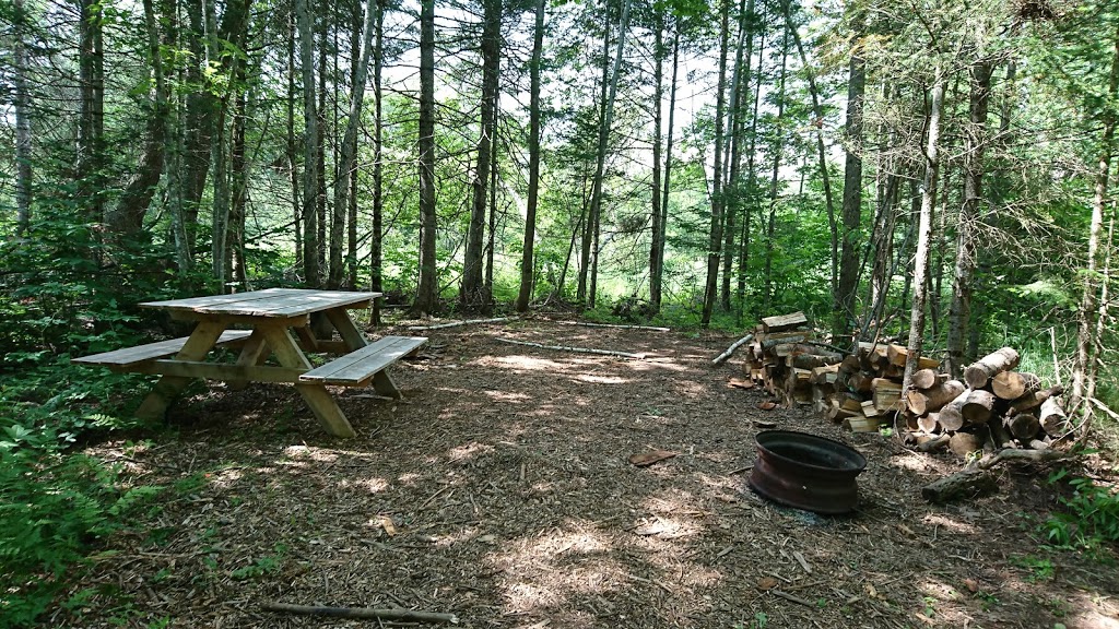 Riverbend Family Campground | 423 Salisbury Back Rd, Salisbury, NB E4J 1K4, Canada | Phone: (506) 801-0269