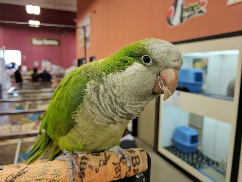 Petland | 5055 101 Ave NW #185, Edmonton, AB T6A 0G7, Canada | Phone: (587) 521-3922