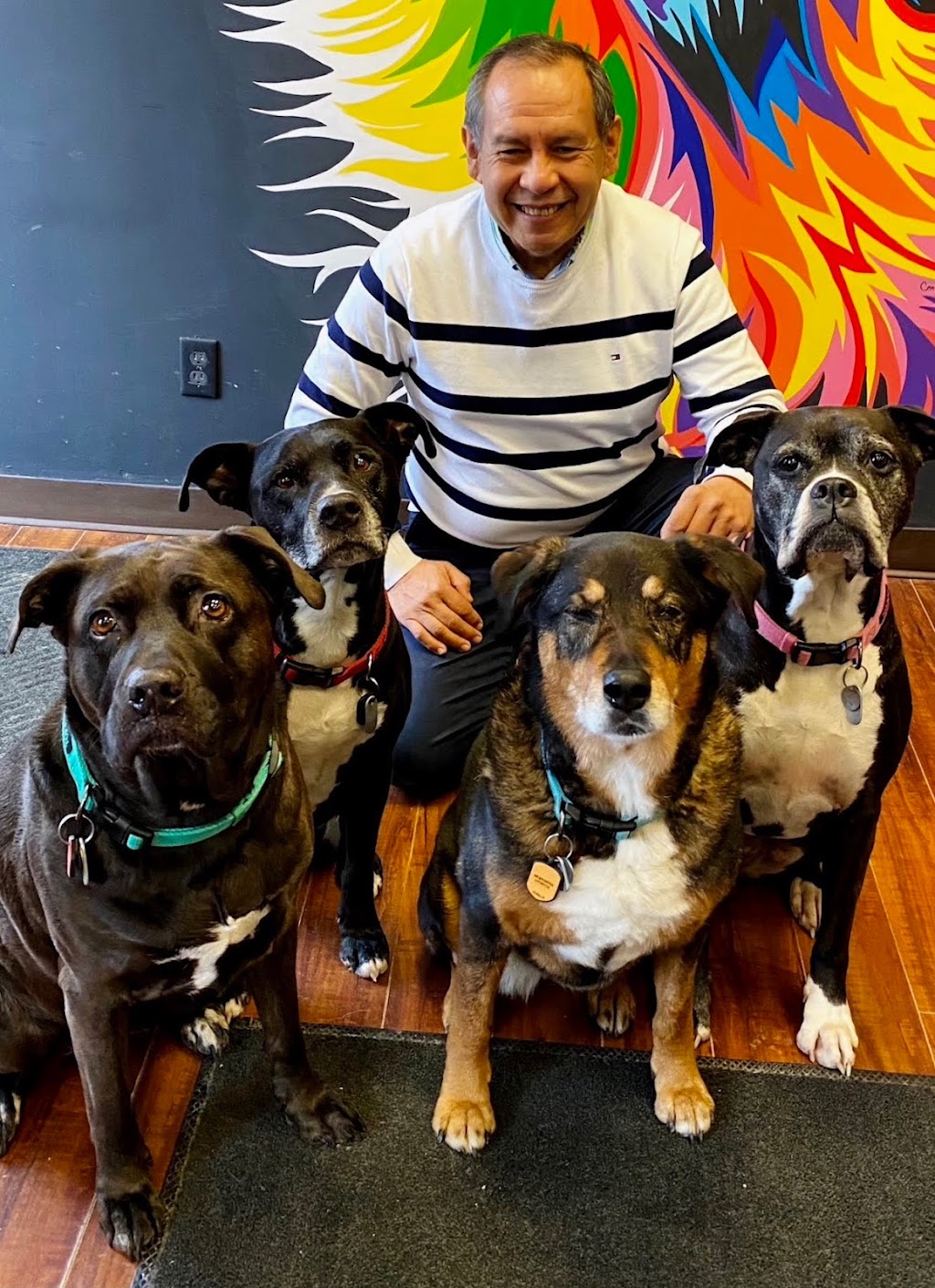 Julio Parra-PetNutritionist | 501 Wilkins St, London, ON N6C 5G2, Canada | Phone: (226) 998-0426