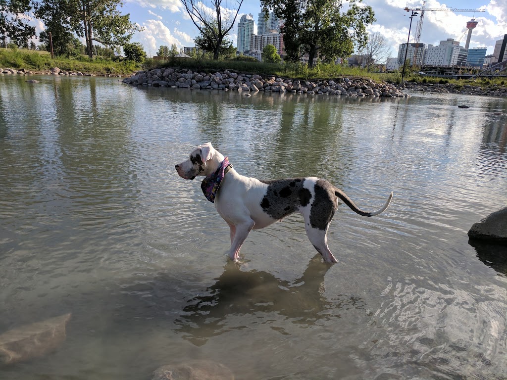 St. Patricks Island Park | 1300 Zoo Rd NE, Calgary, AB T2E 7V6, Canada | Phone: (403) 268-2489