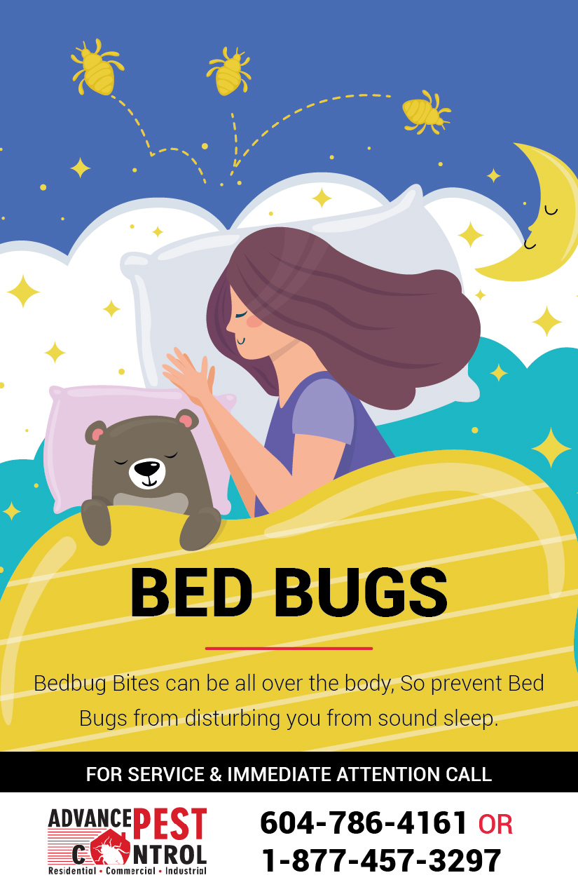 Advance Pest Control Surrey/Langley | 15299 68 Ave #203, Surrey, BC V3S 2C1, Canada | Phone: (604) 786-4161