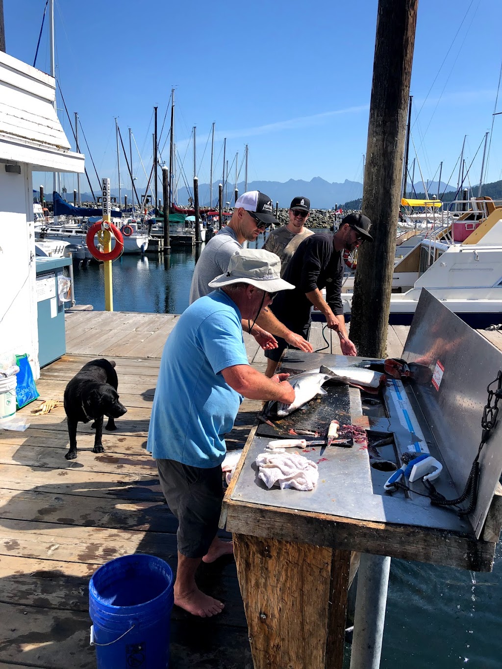 Bonefish Charters | 675 Prowse Rd, Gibsons, BC V0N 1V8, Canada | Phone: (604) 790-3474