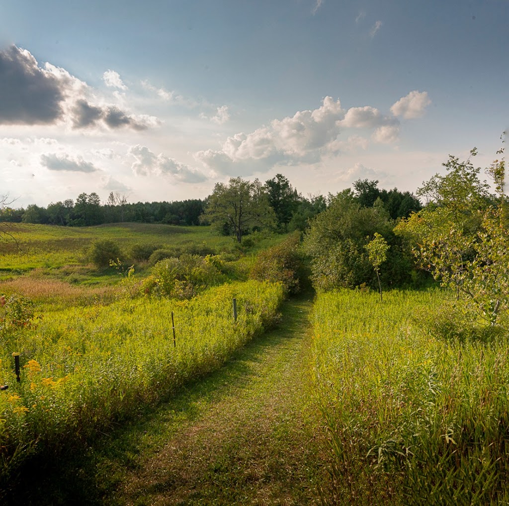 The Hummingbird Barn Venue | 5035 Wellington 125, Erin, ON L7J 2L9, Canada | Phone: (289) 349-1144