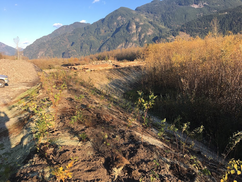 Alyon Reclamation Inc. | 26362 Dewdney Trunk Rd, Maple Ridge, BC V2W 1A1, Canada | Phone: (604) 880-3814