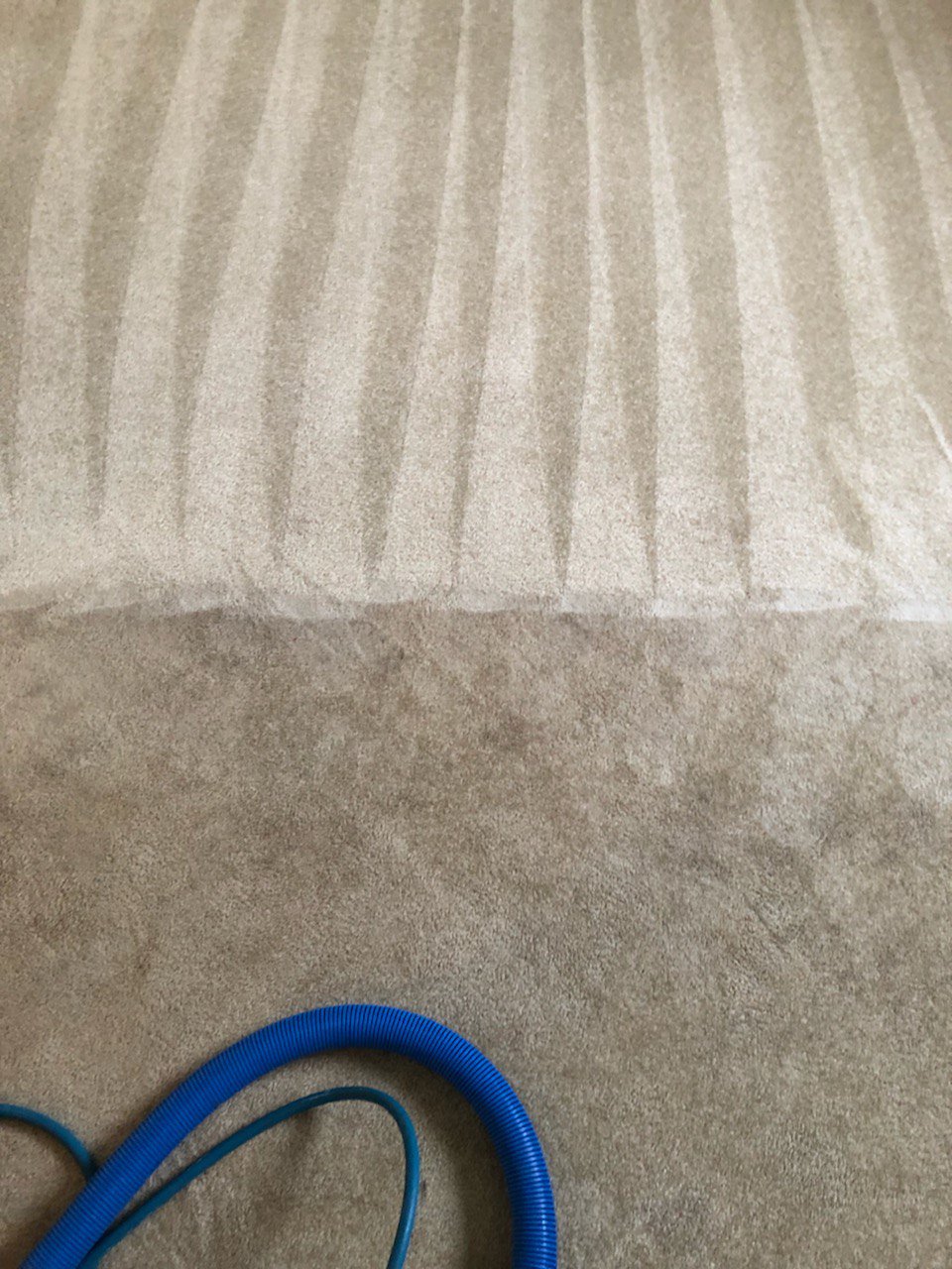 Power Carpet Cleaning | Twin Brooks, Edmonton, AB T6J 5A7, Canada | Phone: (780) 399-5578