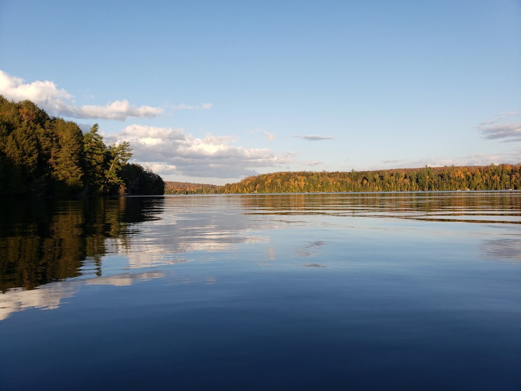 Harcourt Park Marina | 2199 Sumcot Rd, Harcourt, ON K0L 1M1, Canada | Phone: (705) 448-2888