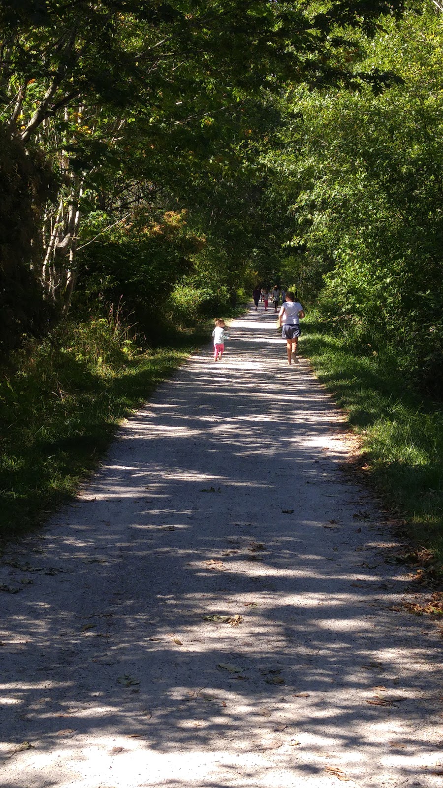 Highland Heights Park | Vining St, Bellingham, WA 98226, USA | Phone: (360) 778-8000