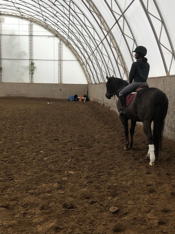 Équitation CG | 3808 Chemin de la Côte-Bissonnette, Varennes, QC J3X 1P7, Canada | Phone: (514) 941-9214