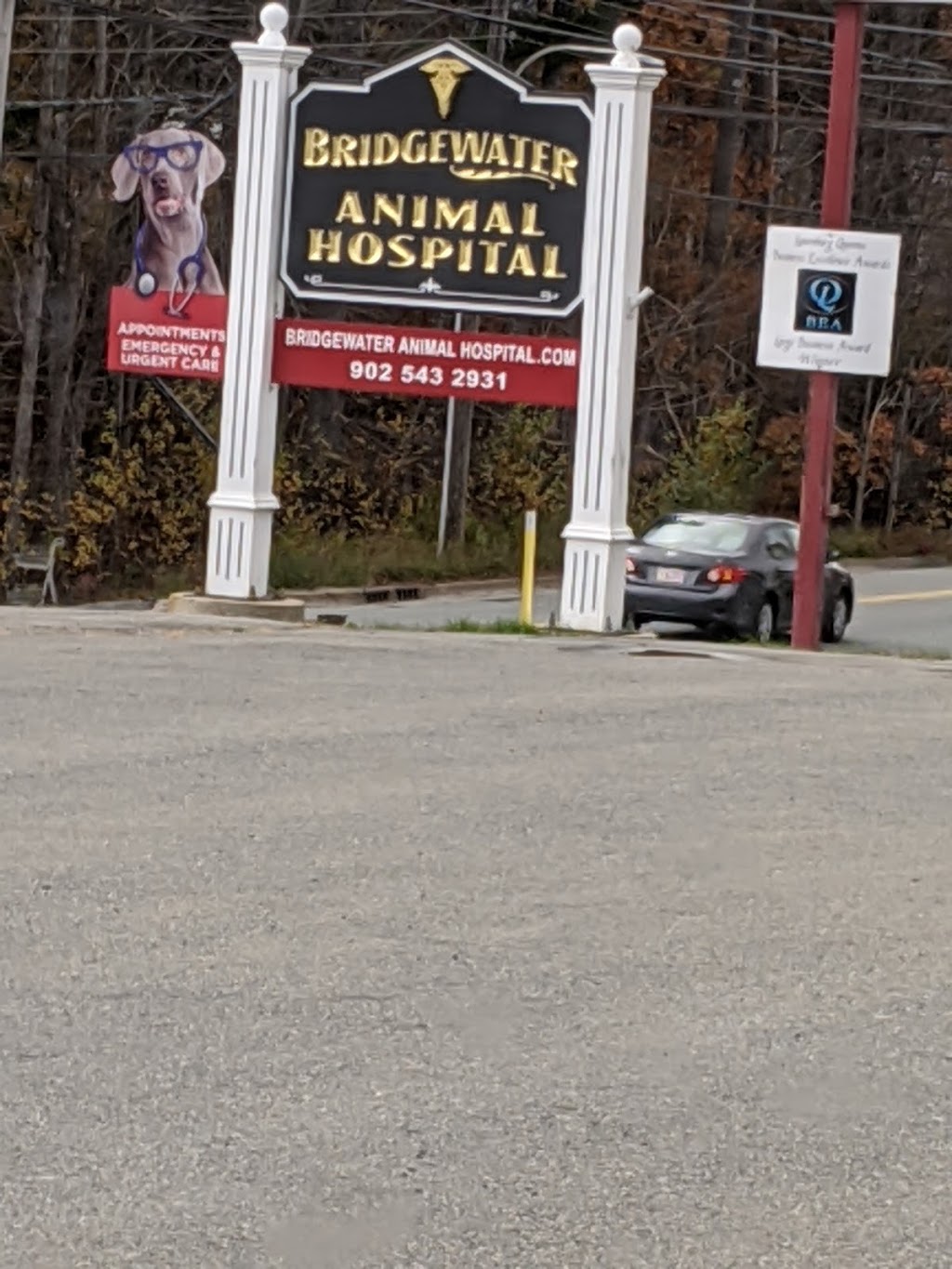 Bridgewater Animal Hospital | 220 North St, Bridgewater, NS B4V 2V6, Canada | Phone: (902) 543-2931
