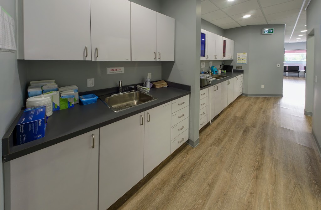 The Tooth Corner | 521 Hamilton Regional Rd 8, Stoney Creek, ON L8G 1G4, Canada | Phone: (905) 664-3358