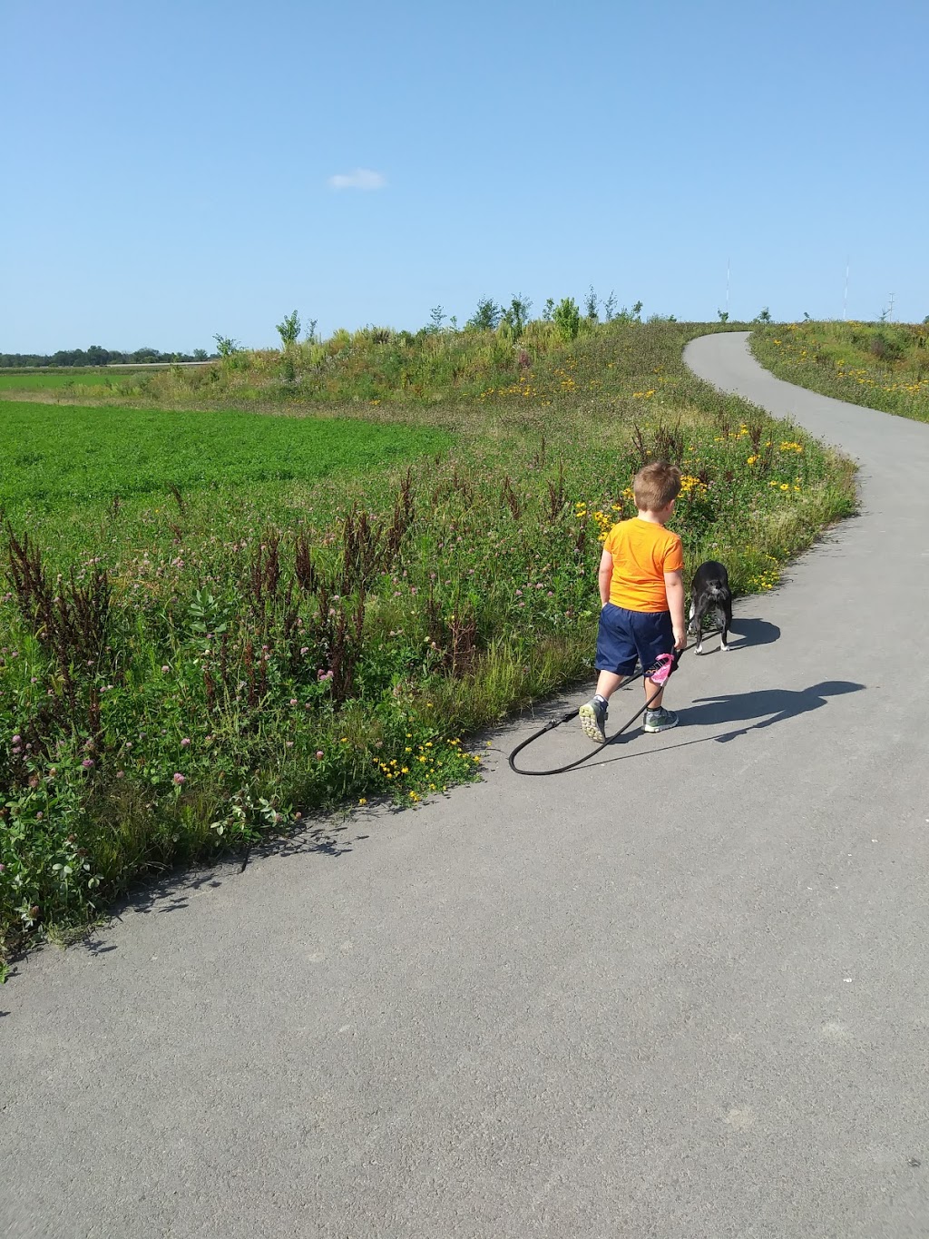 Clarke Fields Park | 93 Houlahan St, Nepean, ON K2J 3Y7, Canada | Phone: (613) 580-2400