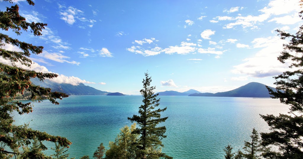 Sea to Sky Life and Recovery Coaching | 1527 Eagle Run Dr, Brackendale, BC V0N 1H0, Canada | Phone: (778) 987-5675