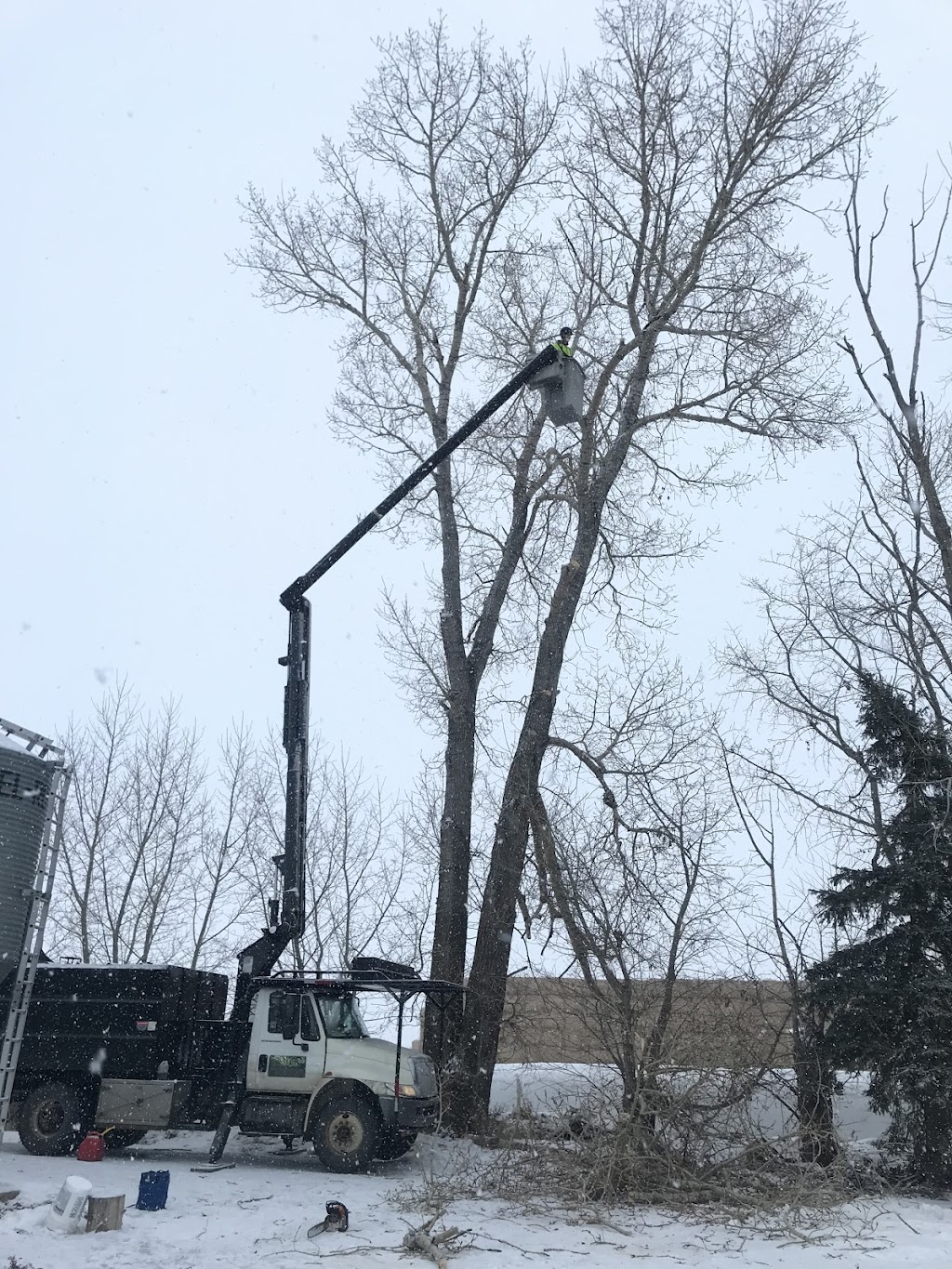 Red Deer Tree Care | 80a Kelloway Crescent #122, Red Deer, AB T4P 4E4, Canada | Phone: (403) 896-5224