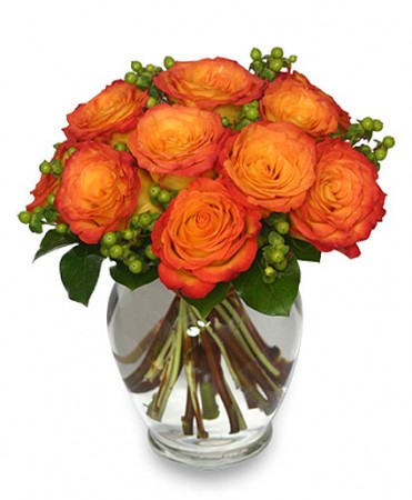 TL Yorke Floral Design | 8 Oland Crescent, Halifax, NS B3S 1C6, Canada | Phone: (902) 450-0101