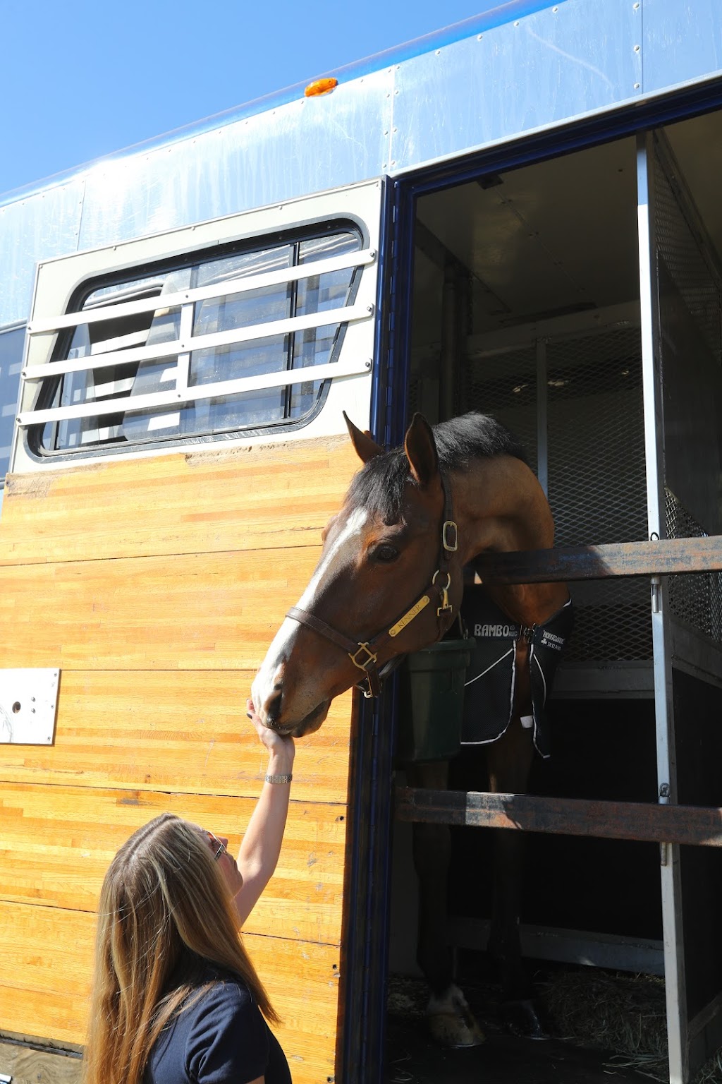 Foothills Horse Transport | 210210 274th Avenue West, Foothills, AB, Canada, AB T1S 5R3, Canada | Phone: (403) 560-6677