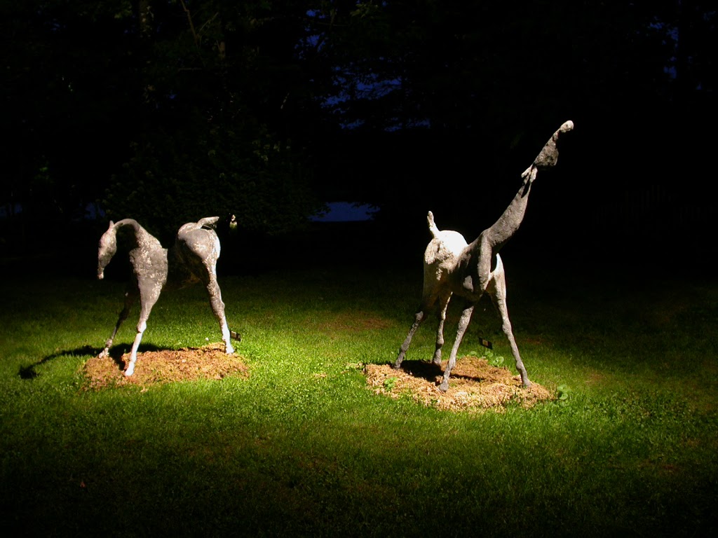 Les Jardins Lumières | 552 rang 1, LAvenir, QC J0C 1B0, Canada | Phone: (819) 394-3350