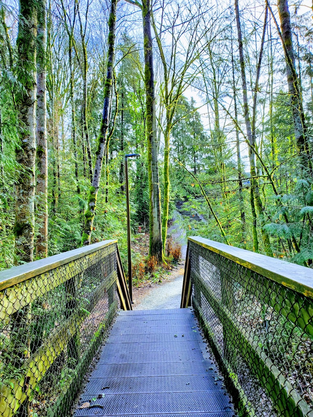 Mosquito Creek Park | 3930 Trenton Pl, North Vancouver, BC V7R 3G5, Canada | Phone: (604) 983-7333