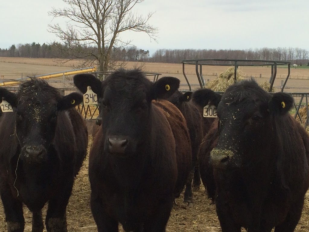 Whispering Meadows Family Farms | RR2, 056404 Concession Road 12, Desboro, ON N0H 1K0, Canada | Phone: (800) 439-3081