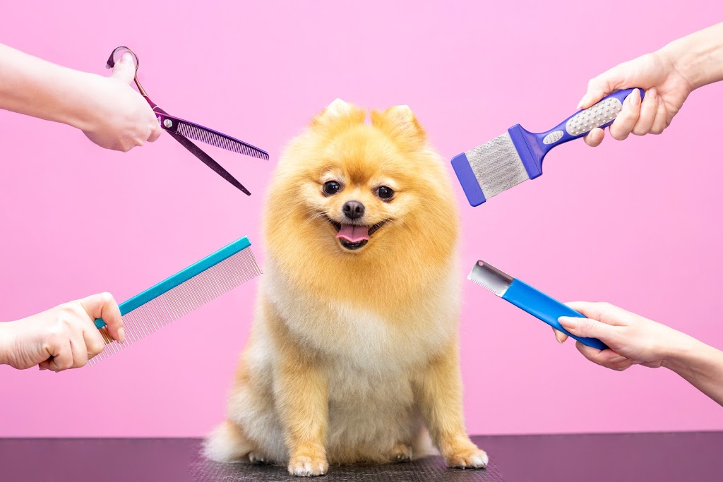 Passion4Pets Grooming Boutique | 46 King Ave E, Newcastle, ON L1B 1H6, Canada | Phone: (905) 440-5732