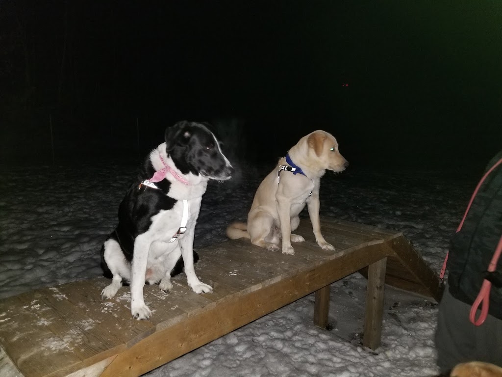 Staff Sergeant Larry Bigley K-9 Park | John St S, Gravenhurst, ON P1P 1J9, Canada | Phone: (705) 687-3412