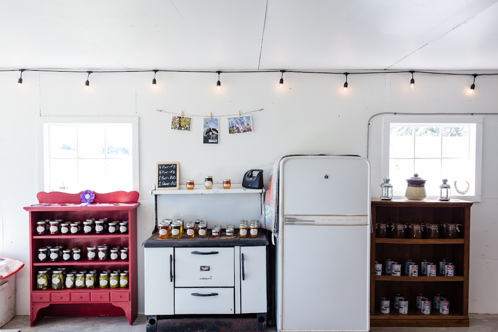 Schatzys Homemade and Homegrown | 57025, Range Rd 31, Gunn, AB T0E 1A0, Canada | Phone: (780) 268-1722