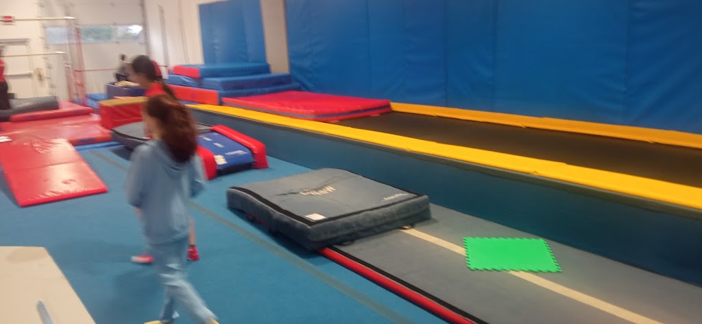 Gymworld | 1540 Fanshawe Park Rd W, London, ON N6H 5L8, Canada | Phone: (519) 474-4960