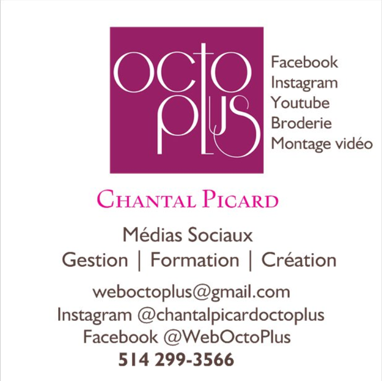 Octo Plus Web | 7334 Rue Louis-Hébert, Saint-Hubert, QC J3Y 8E9, Canada | Phone: (514) 299-3566