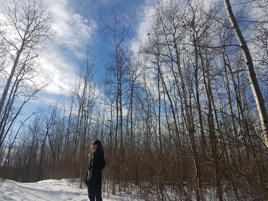 Shirley Lake Trailhead # 3 | Improvement District No. 13, AB T8G 2A6, Canada | Phone: (780) 922-5790