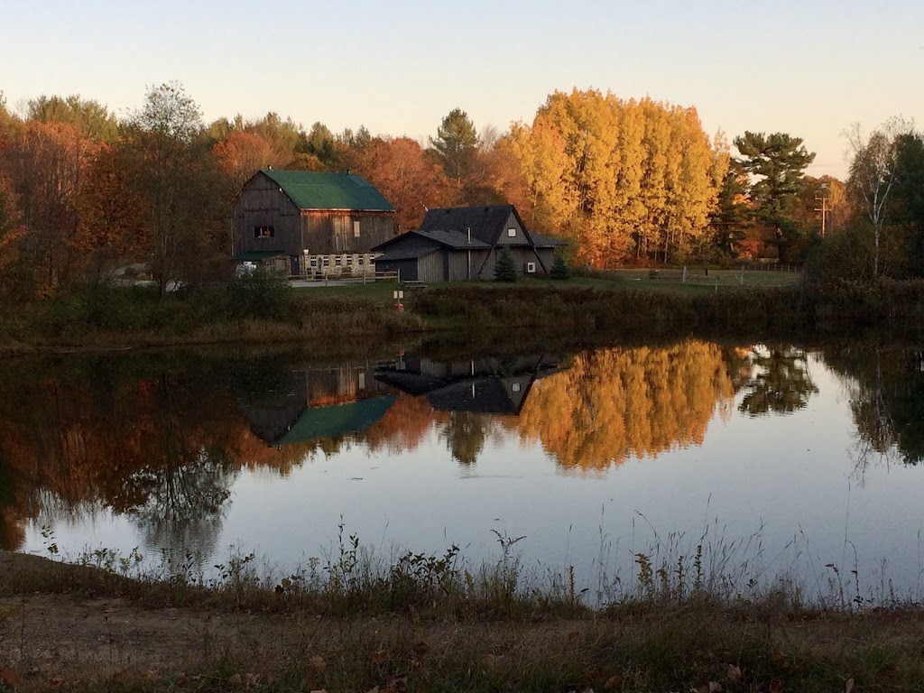 Camping in Muskoka | 1083 Reay Rd E, Gravenhurst, ON P1P 1R3, Canada | Phone: (705) 687-2333