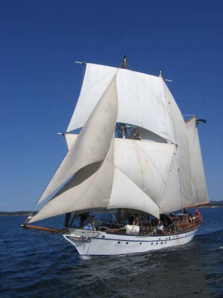 Brigs Youth Sail Training | 208 Hillyard St Second Floor, Hamilton, ON L8L 6B6, Canada | Phone: (416) 596-7117