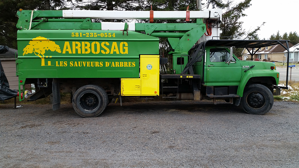 Service DArbres Emmanuel Smsn | 4060 Rte Mathias, Shipshaw, QC G7P 1C9, Canada | Phone: (581) 235-0554