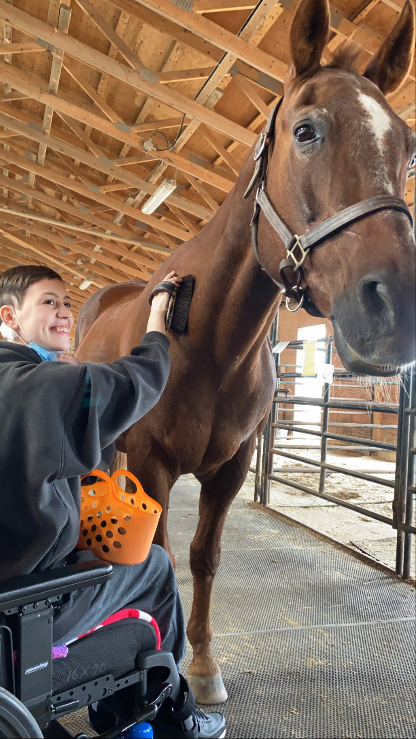 Pony Pals Therapeutic Riding Assn | 3885 96 St, Delta, BC V4K 3N3, Canada | Phone: (604) 590-0097