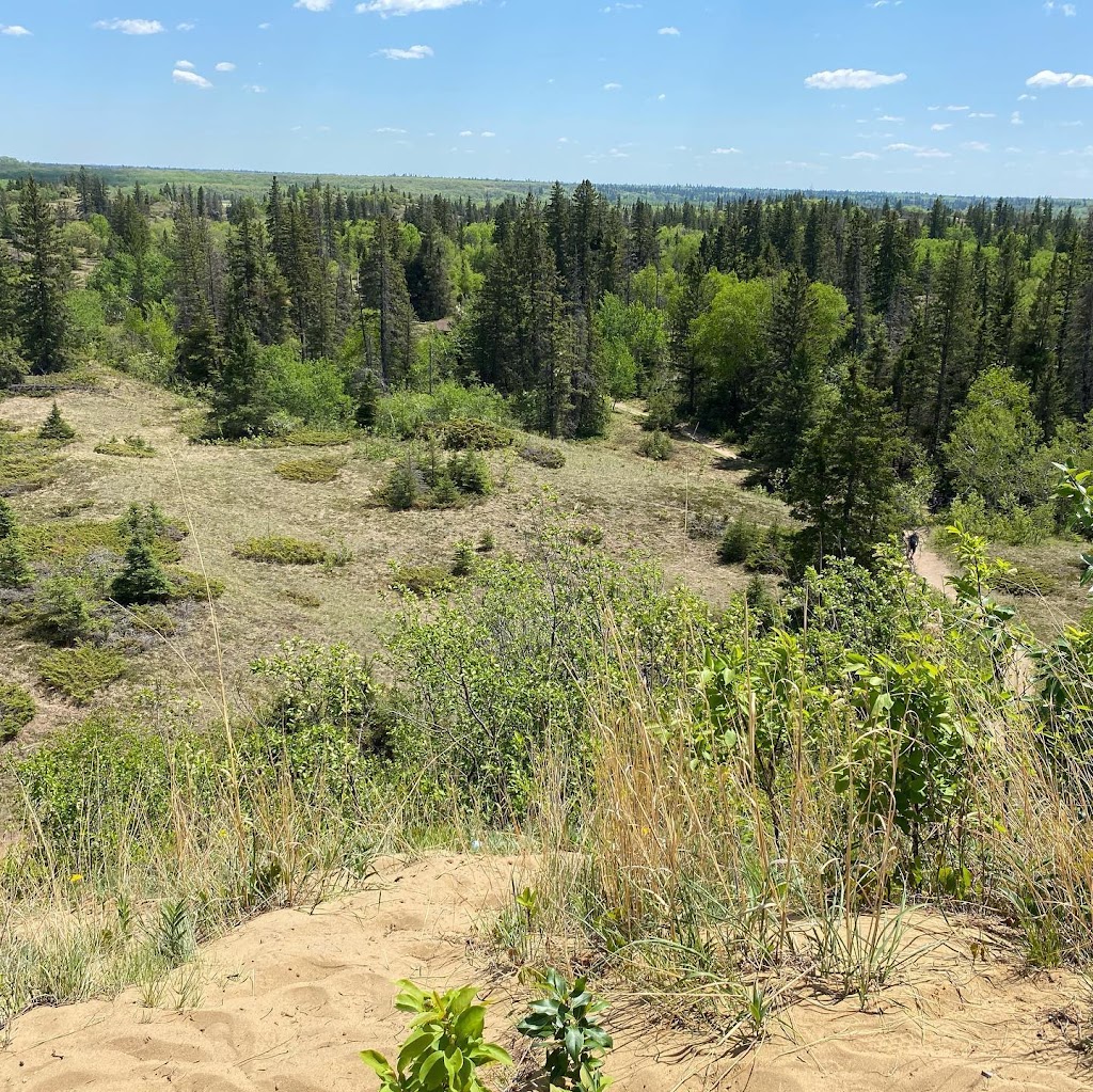 Spruce Woods Provincial Park | Carberry, MB R0K 0H0, Canada | Phone: (204) 827-8850