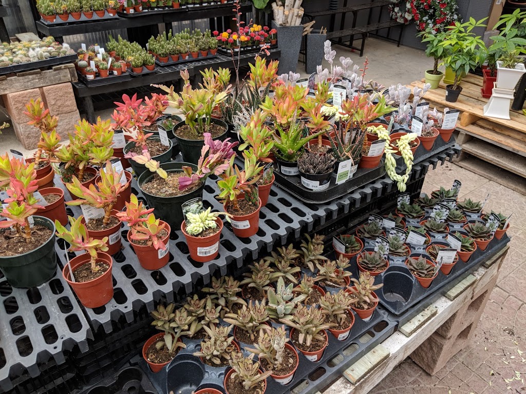Harpers Garden Centre | 1039 Wilson Street East, Ancaster, ON L9H 5E3, Canada | Phone: (905) 648-2157