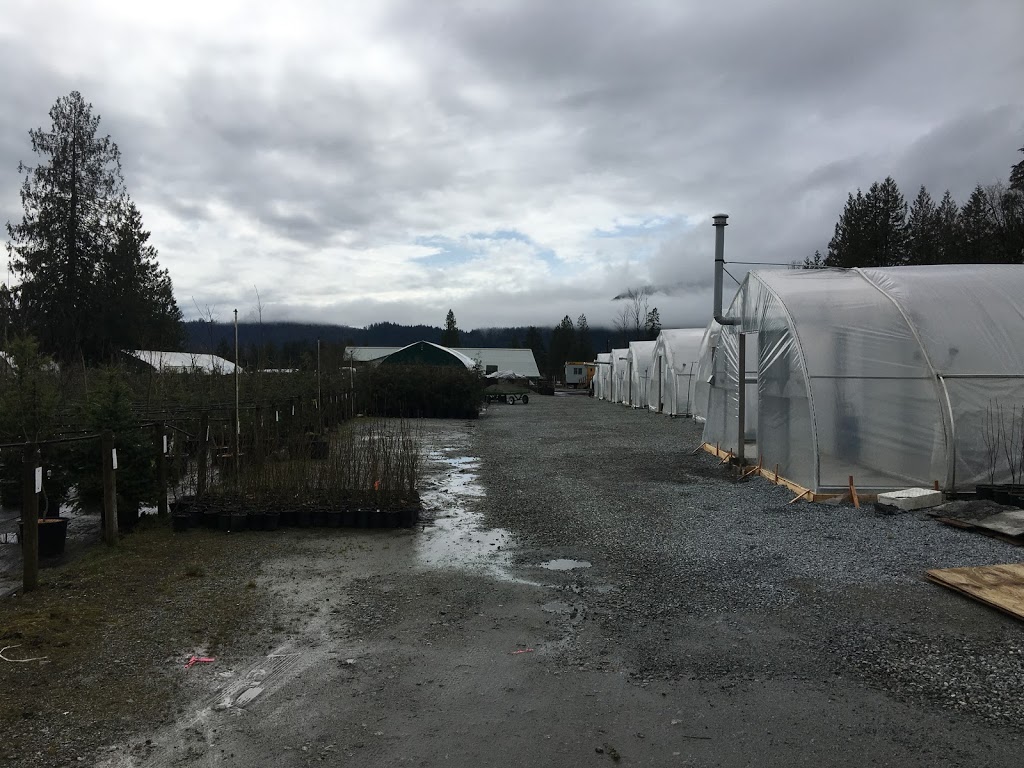 Peels Nurseries Ltd. | 35920 Pattison Rd, Fraser Valley F, BC V2V 4J1, Canada | Phone: (604) 820-7386