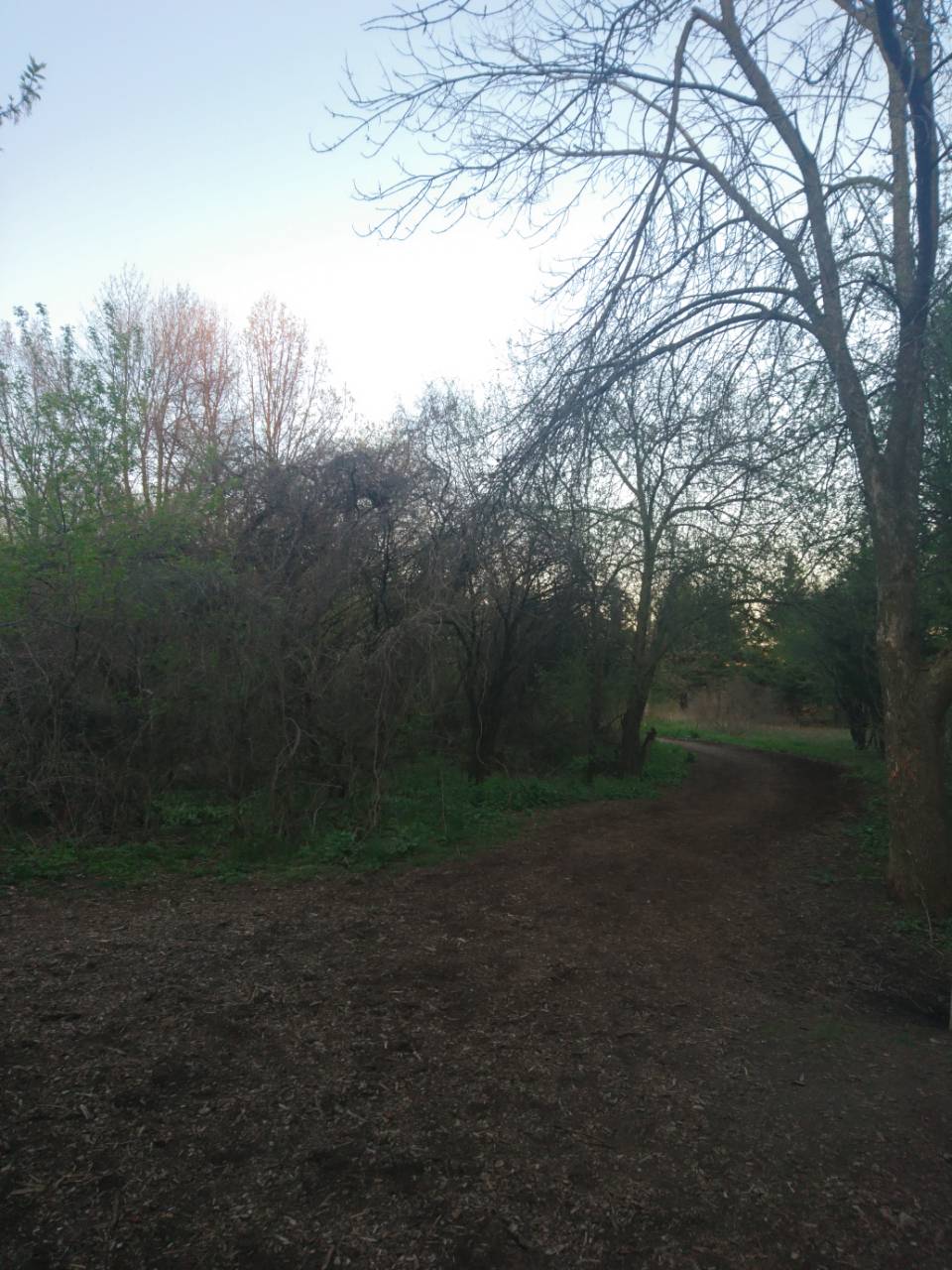 Margaret Greene Trail | Westwood Rd, Guelph, ON N1H, Canada