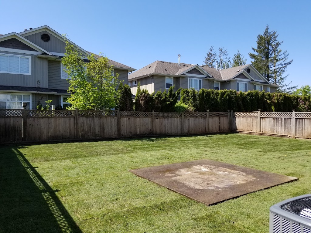 Cutting Edge Tree Service Ltd. | 8597 Henderson St, Mission, BC V2V 7P9, Canada | Phone: (604) 615-6159