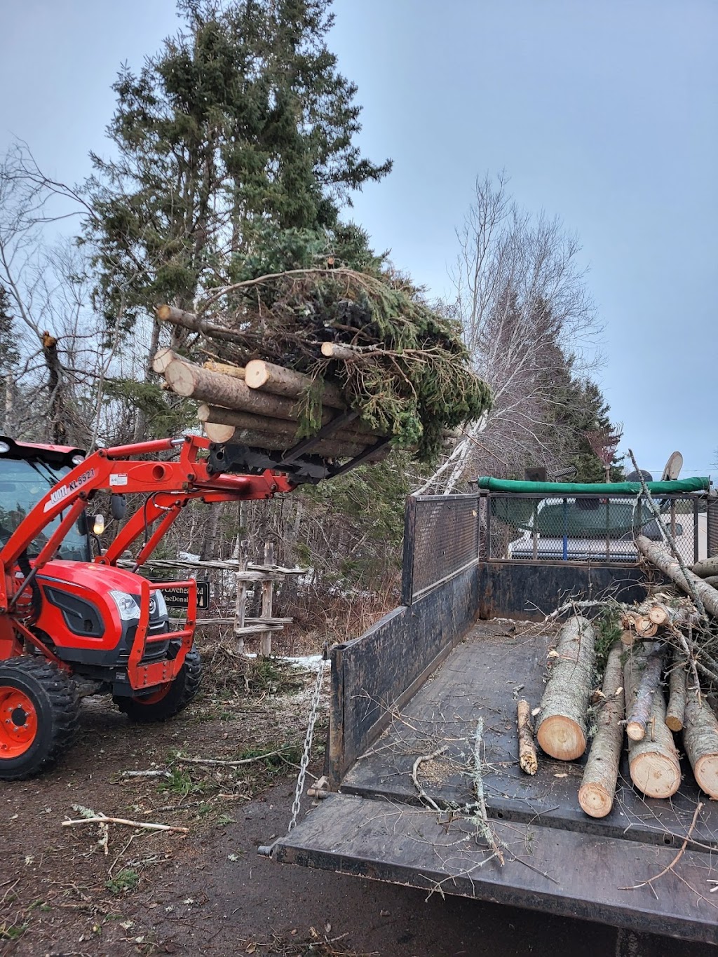 C&T Lawn Care | 7 Ash Ln, York, PE C0A 1P0, Canada | Phone: (902) 940-9335