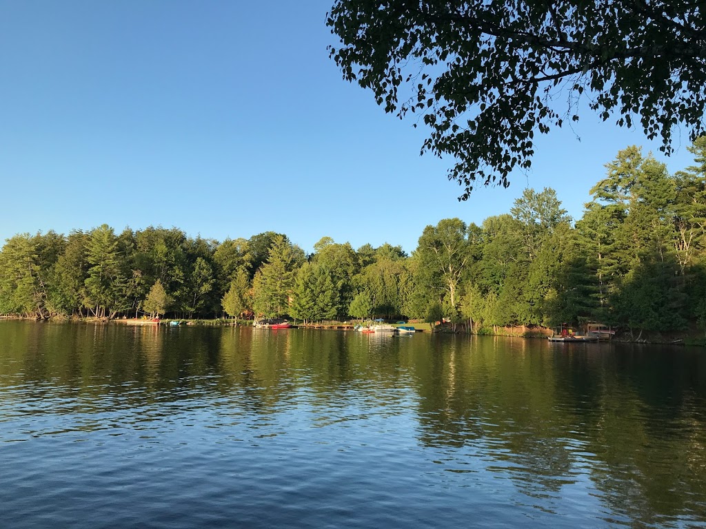 Pine Lodge Muskoka | 484 Muskoka Road 10, Port Sydney, ON P0B 1L0, Canada | Phone: (705) 385-2271
