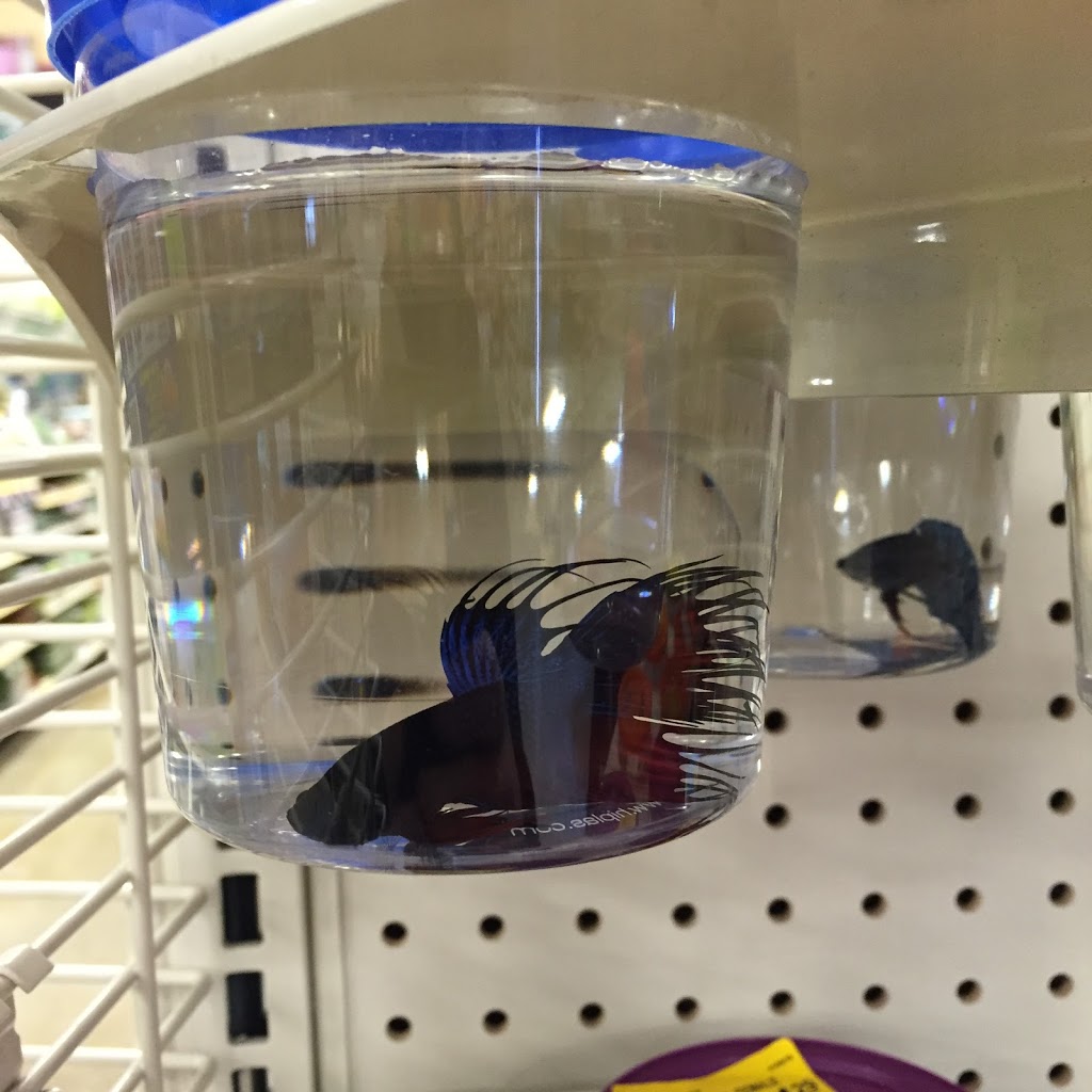 PetSmart | 1600 Heron Rd Unit 1, Ottawa, ON K1V 2P5, Canada | Phone: (613) 523-2819