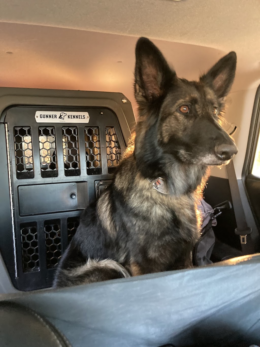 One More Light K9 | S Island Park Dr, Ottawa, ON K4M 1J2, Canada | Phone: (613) 807-7597