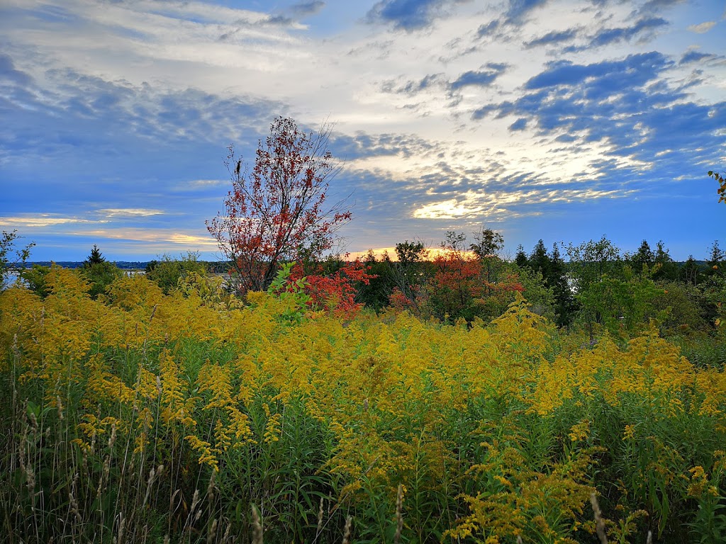 Ken Reid Conservation Area | 277 Kenrei Rd, Lindsay, ON K9V 4R2, Canada | Phone: (705) 328-2271