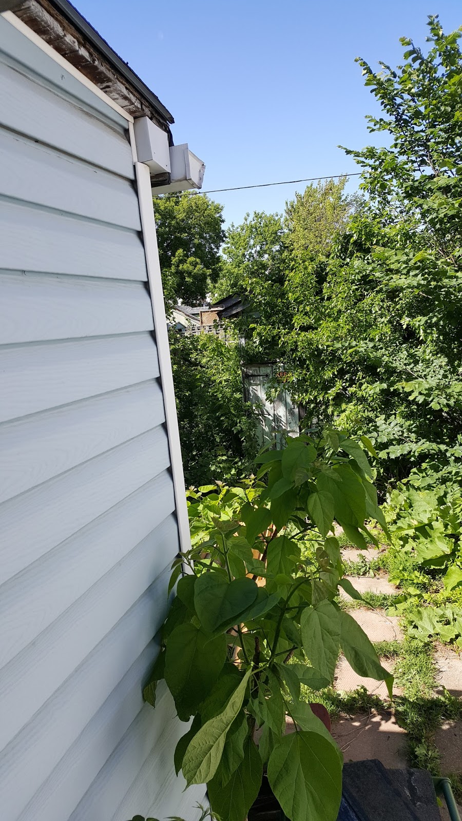 Real Estate 911 | 262 Ottawa St N, Hamilton, ON L8H 1R1, Canada | Phone: (416) 201-1974